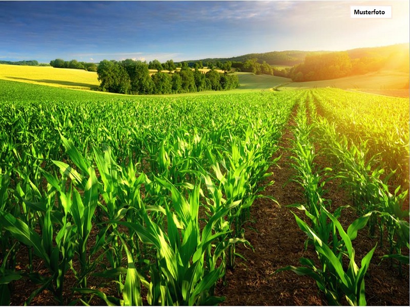 Land- / Forstwirtschaft in 34323 Malsfeld, In den Gärten