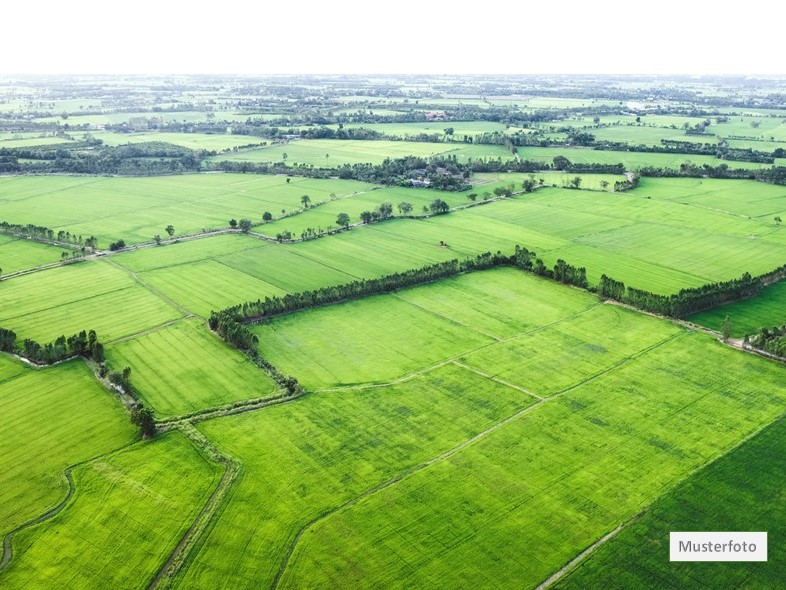 Land- / Forstwirtschaft in 35516 Münzenberg, Kalte Wiesen