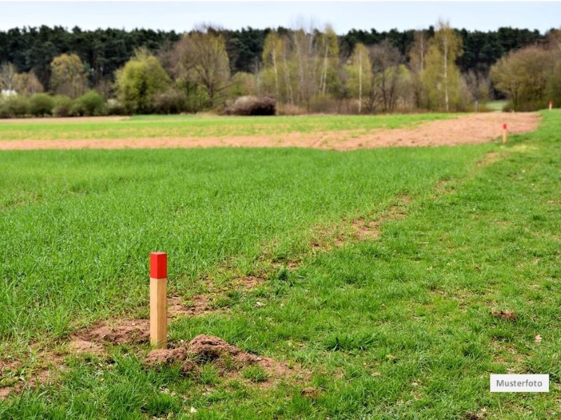 Teilungsversteigerung Land- / Forstwirtschaft in 56651 Niederzissen, Schwansbüsch