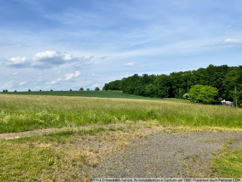 Blick auf Wiese